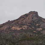 … l’ours gravissant le flanc Nord de la colline