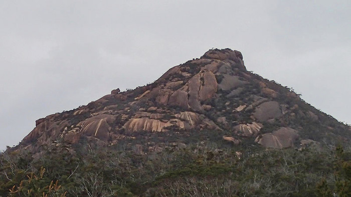 … l’ours gravissant le flanc Nord de la colline