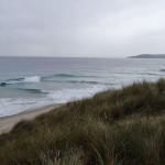 Les dunes alanguies de Sandspit Point