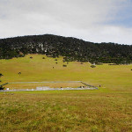 Le cimetière aborigène