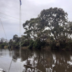 Une des 3 lignes à haute-tension sur la Mitchell River (tirant d’air 15m)