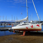 Echouage sur la plage du Tamar Yacht Club