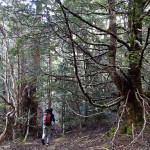 … une vallée sauvage et isolée au chemin mal tracé…