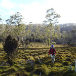 … qui connecte le Walls of Jerusalem à la fin de l’Overland Track