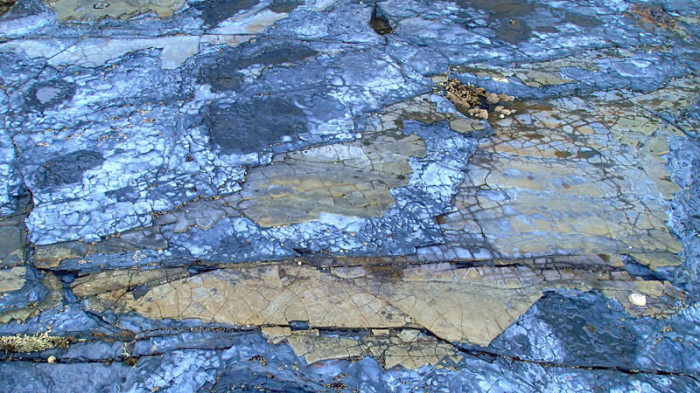 Dalle de roche en mosaïque découvrant à marée basse