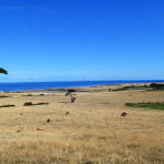 Vue au NW, au fond les 3 cimes de Three Hummock Island (Hunter Group)…