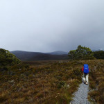 J1 Dans les plaines de button grass de la Port Davey Track…