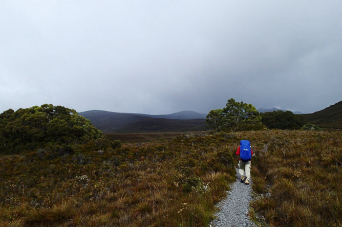 J1 Dans les plaines de button grass de la Port Davey Track…