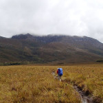 Port Davey Track, Alpha Moraine et Mt Hesperus (1100m) dans les nuages