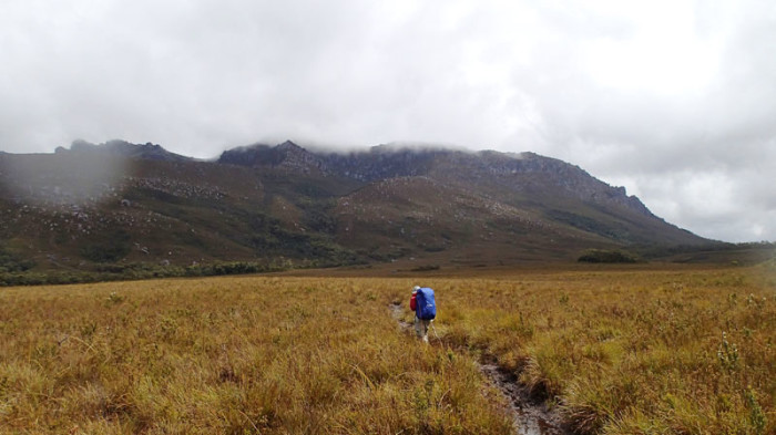 Port Davey Track, Alpha Moraine et Mt Hesperus (1100m) dans les nuages