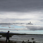 La beauté ordinaire du South Gippsland