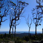 Vue vers l’Ouest depuis Point Vision (370m), Port Sorell et Bass Strait