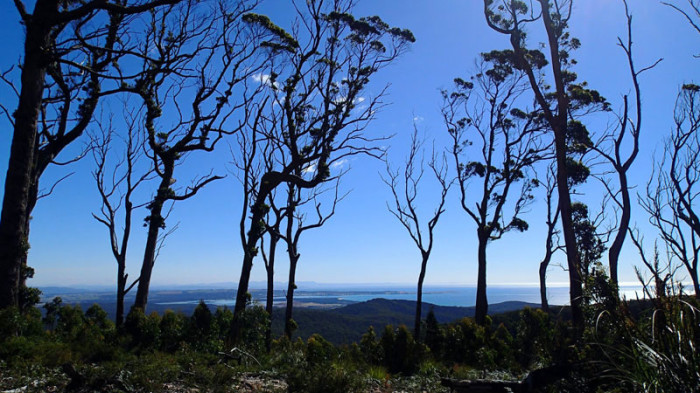 Vue vers l’Ouest depuis Point Vision (370m), Port Sorell et Bass Strait