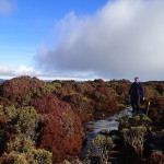 Non loin du sommet englacé de Quamby Bluff (1228m)