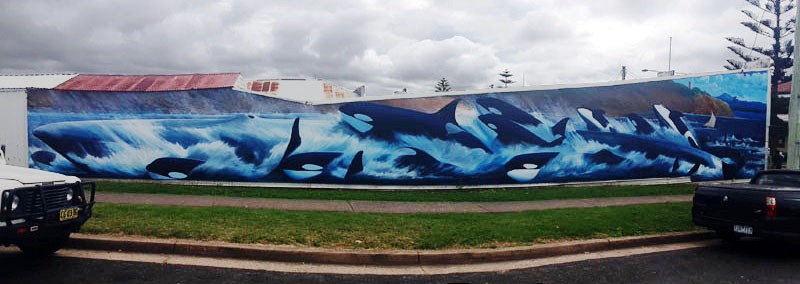 La chasse à la baleine, une fresque à la mémoire d’Old Tom le killer whales