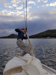 Graissage des émerillons du Furlex à Port Stephens