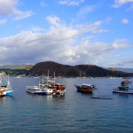 La flottille de phinisis indonésiens à Labuan Bajo