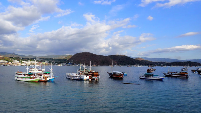 La flottille de phinisis indonésiens à Labuan Bajo