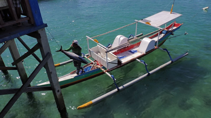 Pirogue de pêcheur à double motorisation et double balanciers