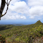 … le Piton de la Petite Rivière Noire (828m)