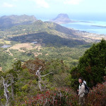 Dans la descente sur Chamarel, le bastion isolé du Morne Brabant (556m)