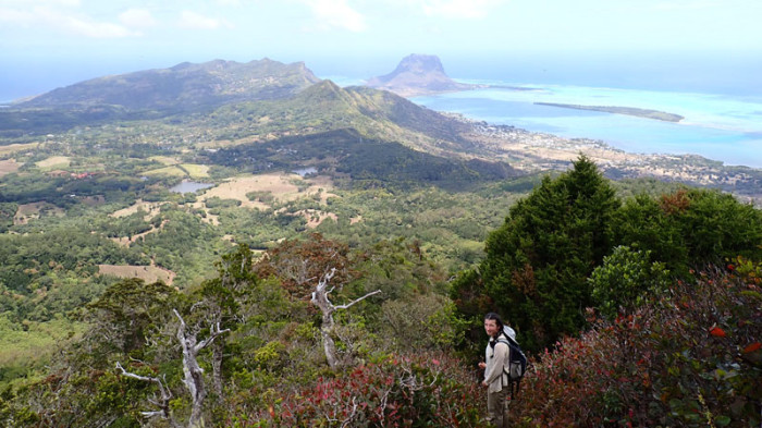 Dans la descente sur Chamarel, le bastion isolé du Morne Brabant (556m)