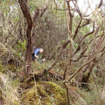 1’100m de dénivelé bien raide jusqu’au refuge de la Caverne Dufour…