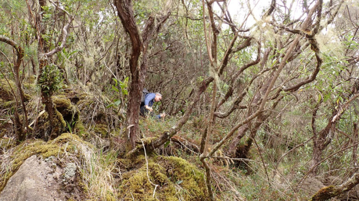 1’100m de dénivelé bien raide jusqu’au refuge de la Caverne Dufour…