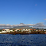 P6195435