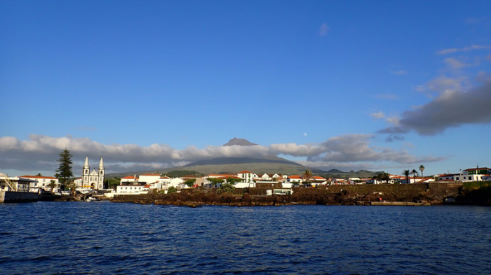 P6195435
