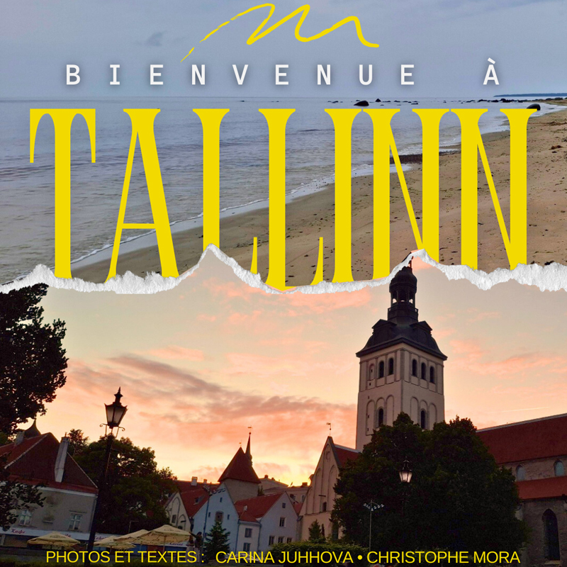 Online flipbook par Carina et Christophe